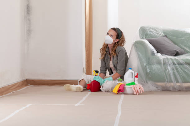 Trusted Mold Remediation service in Midland Park, NJ - Cheap Mold Removal