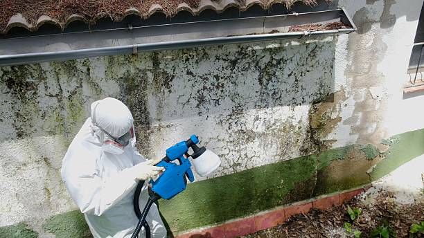 Trusted Bathroom Mold Removal service in Midland Park, NJ - Cheap Mold Removal